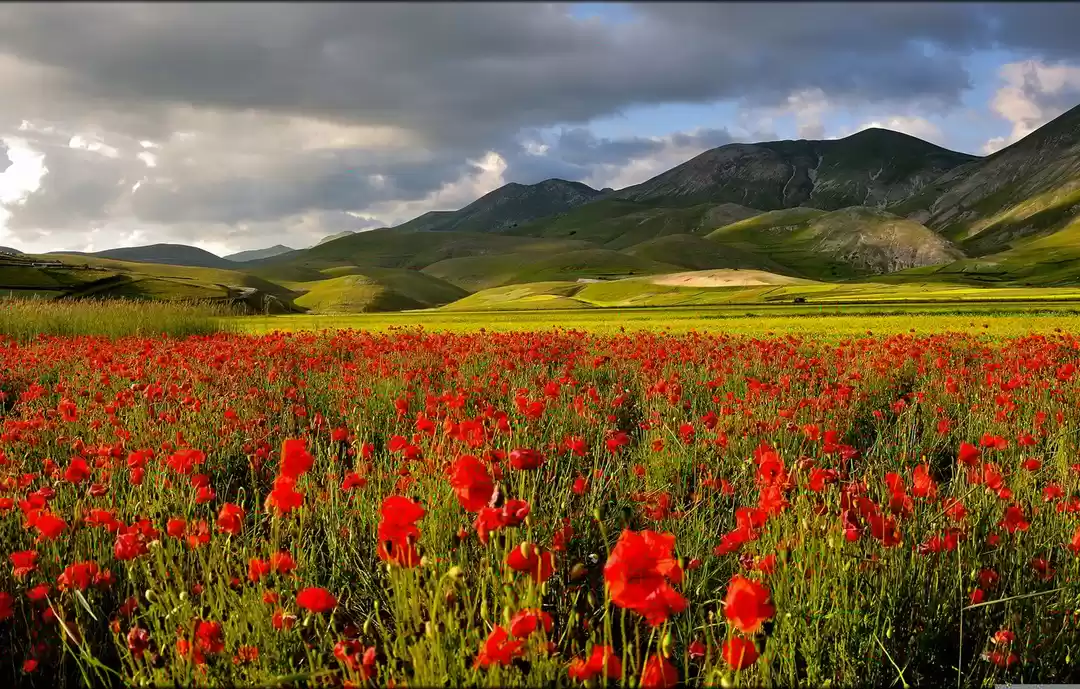 Photo of क्या आपको पता है? मह