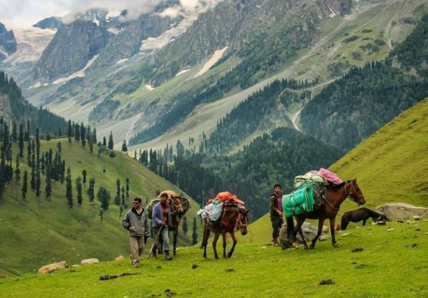 Photo of कश्मीर की इस लुभावनी