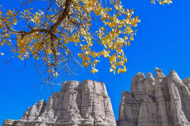 Photo of Top Places To Visit