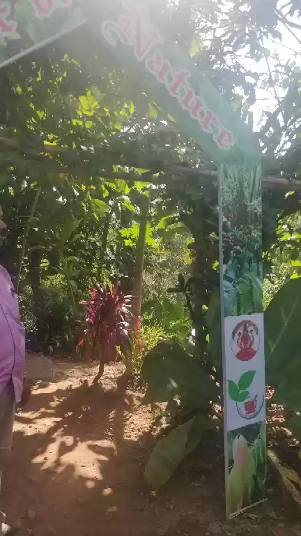 Photo of Journey from Cochin 