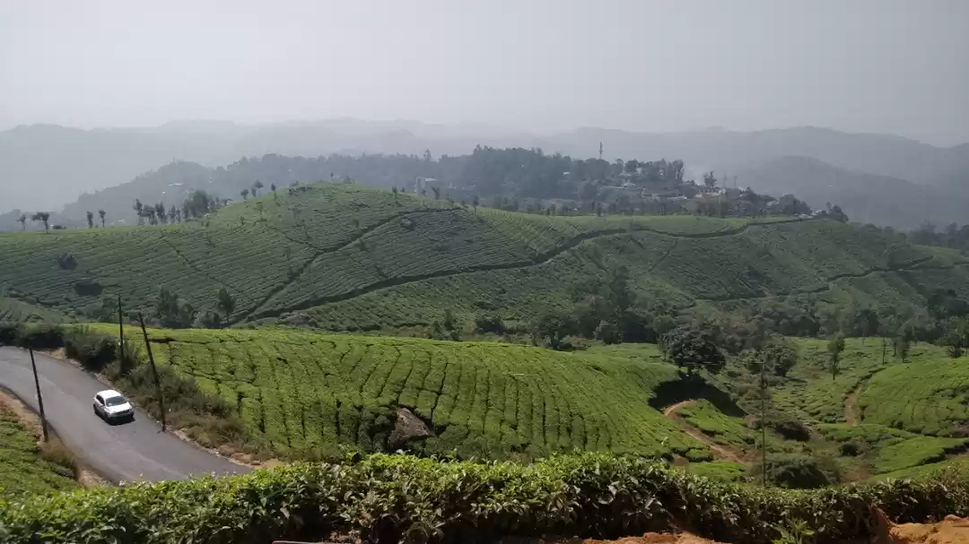 Photo of Tea museum @In God's