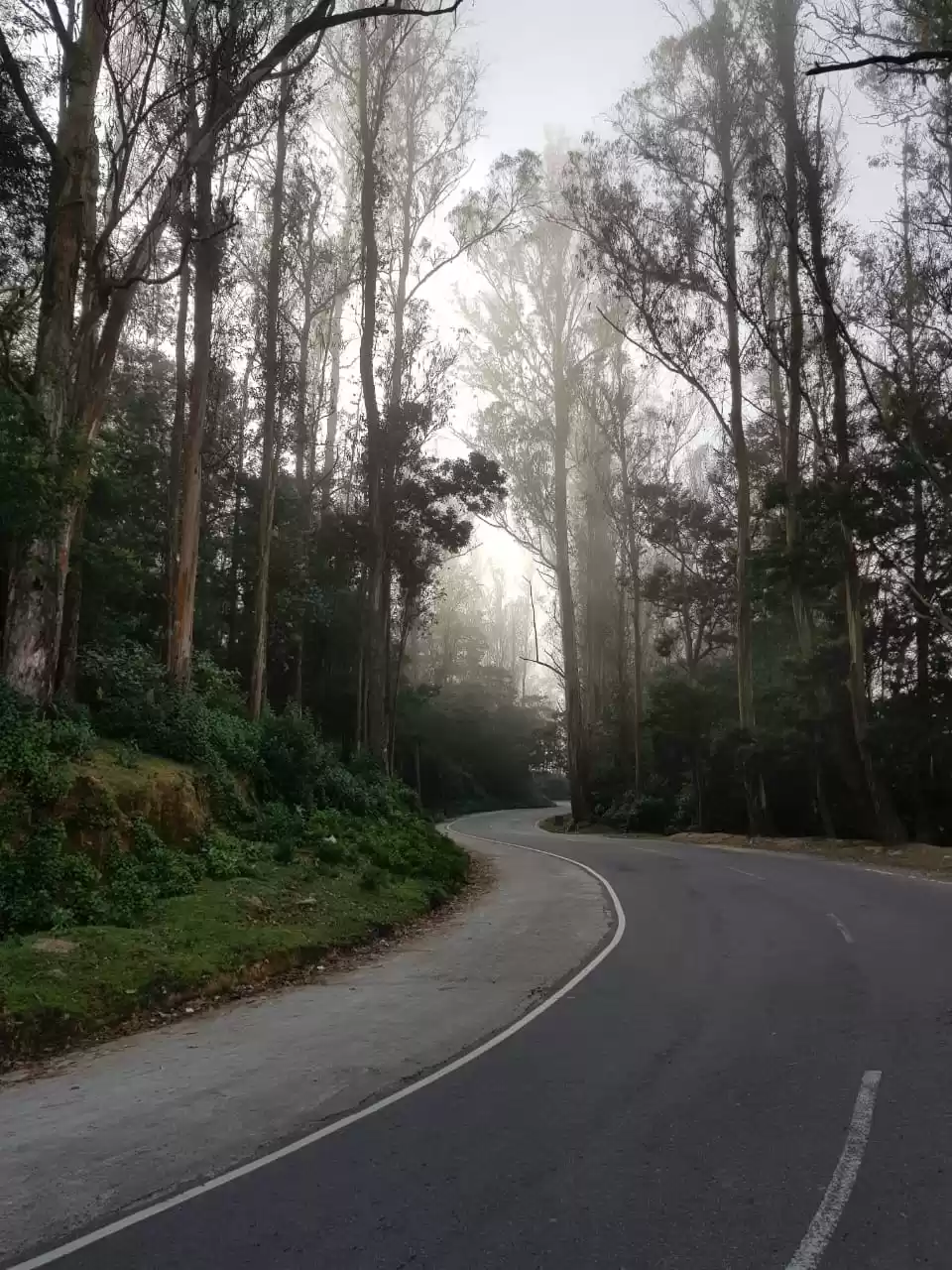 Photo of Off to Ooty