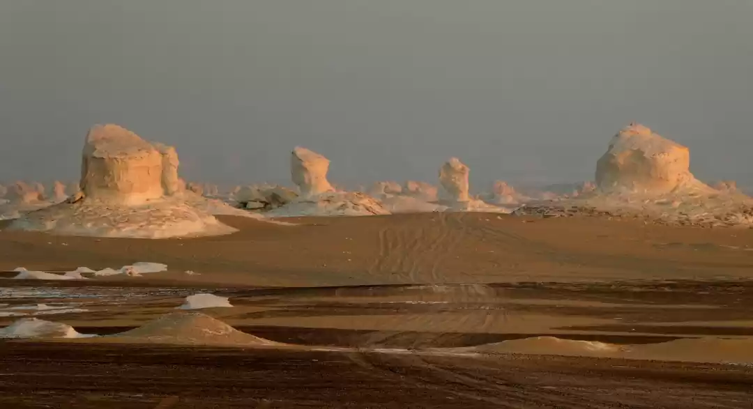 Photo of White Desert Tours f