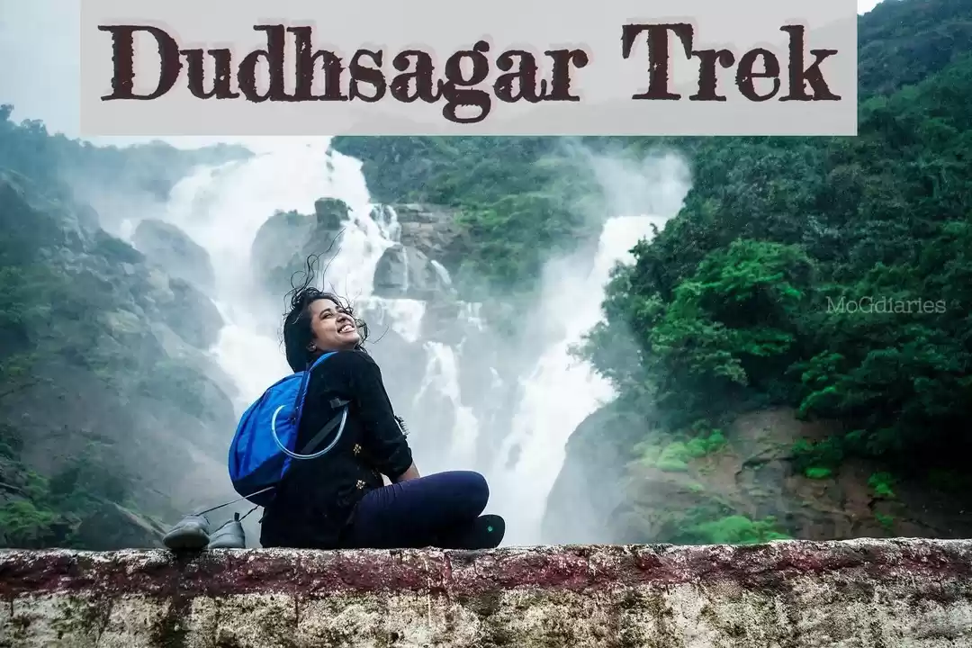 Photo of Dudhsagar Waterfall