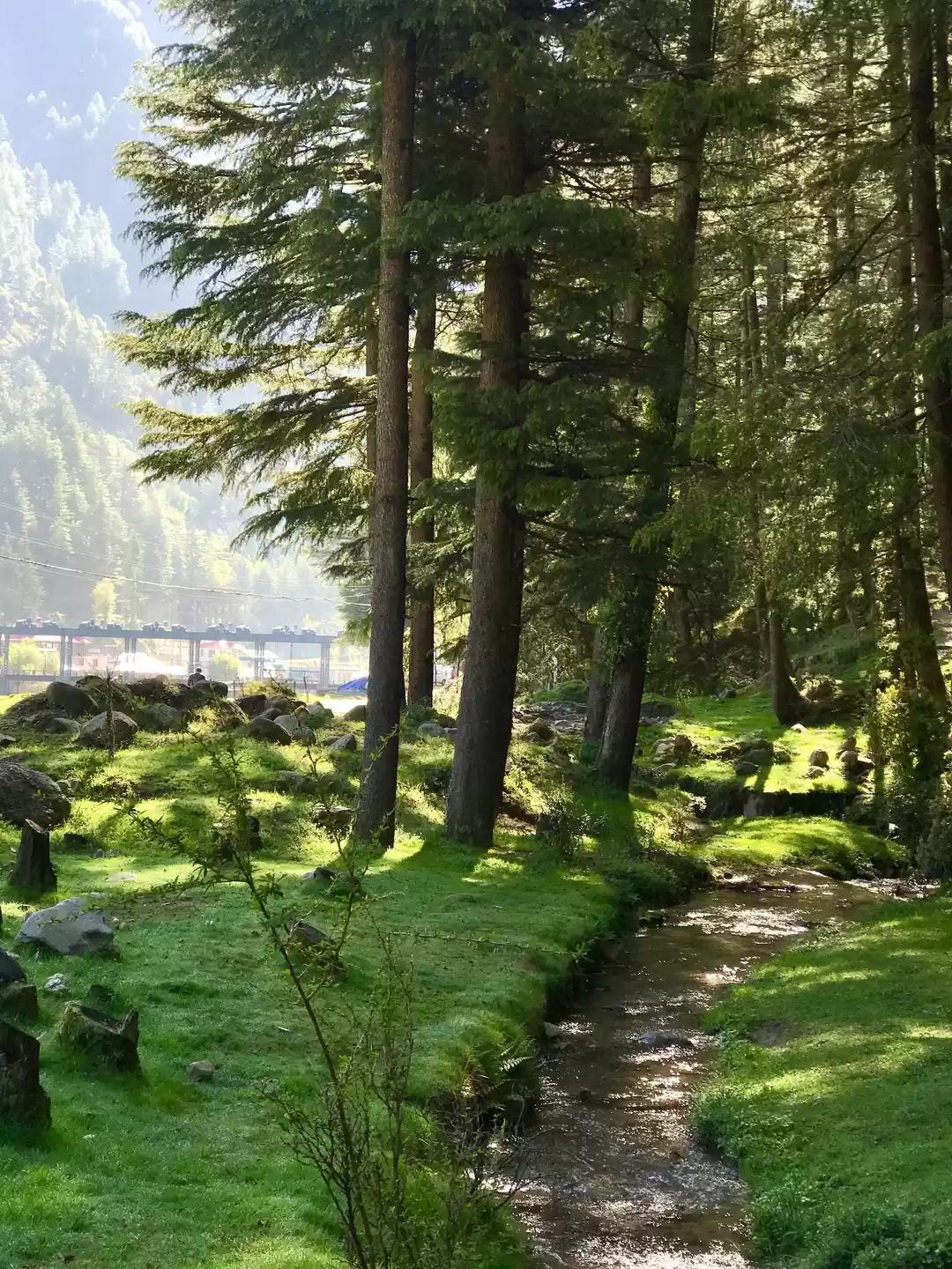 Photo of Color Green