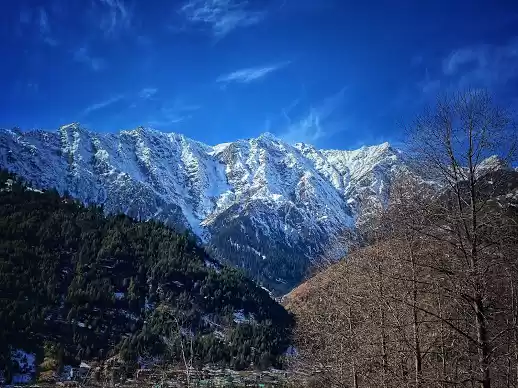 Photo of The Wintry Wonderlan