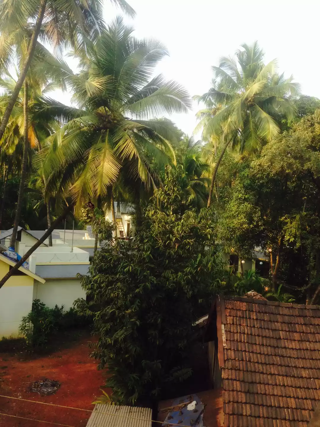 Photo of This is the way i di