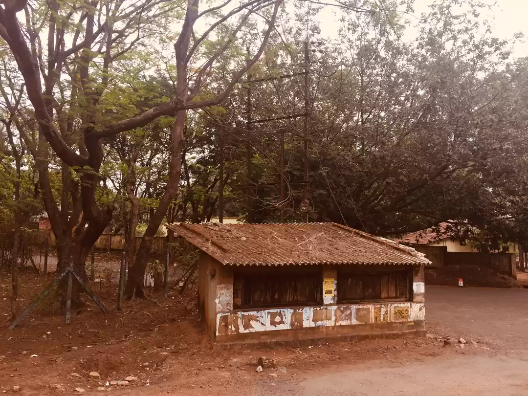 Photo of Majestic dandeli.