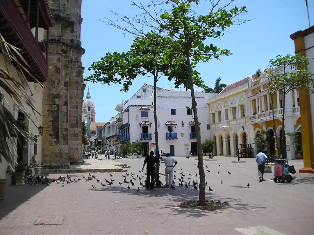 Photo of Highlights of Colomb