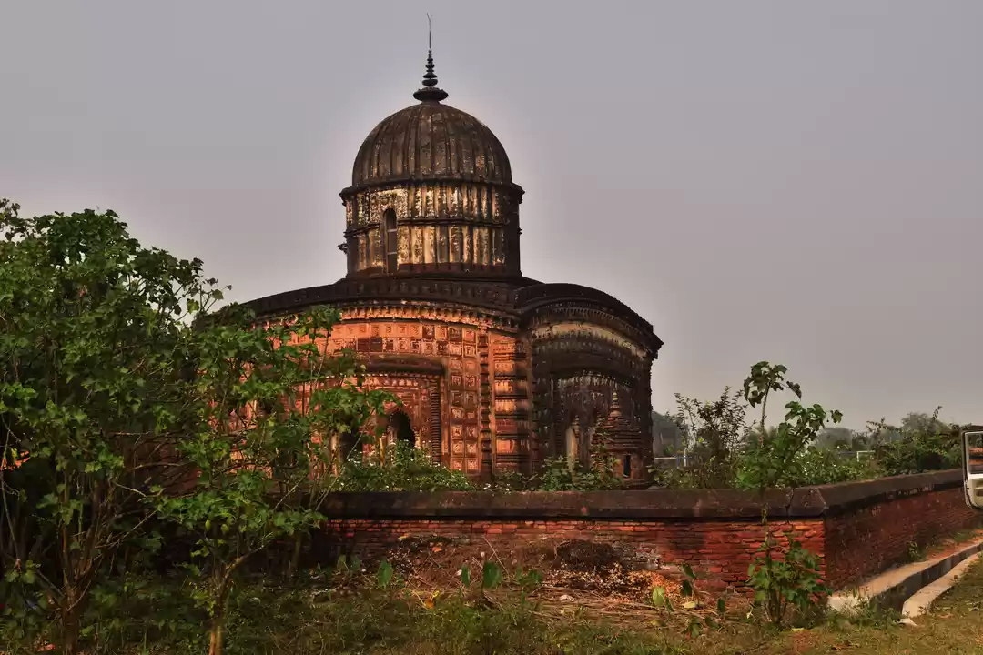Photo of Beautiful bengal = B
