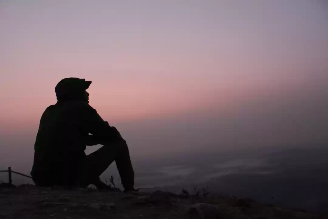 Photo of WILDERNESS OF WESTER