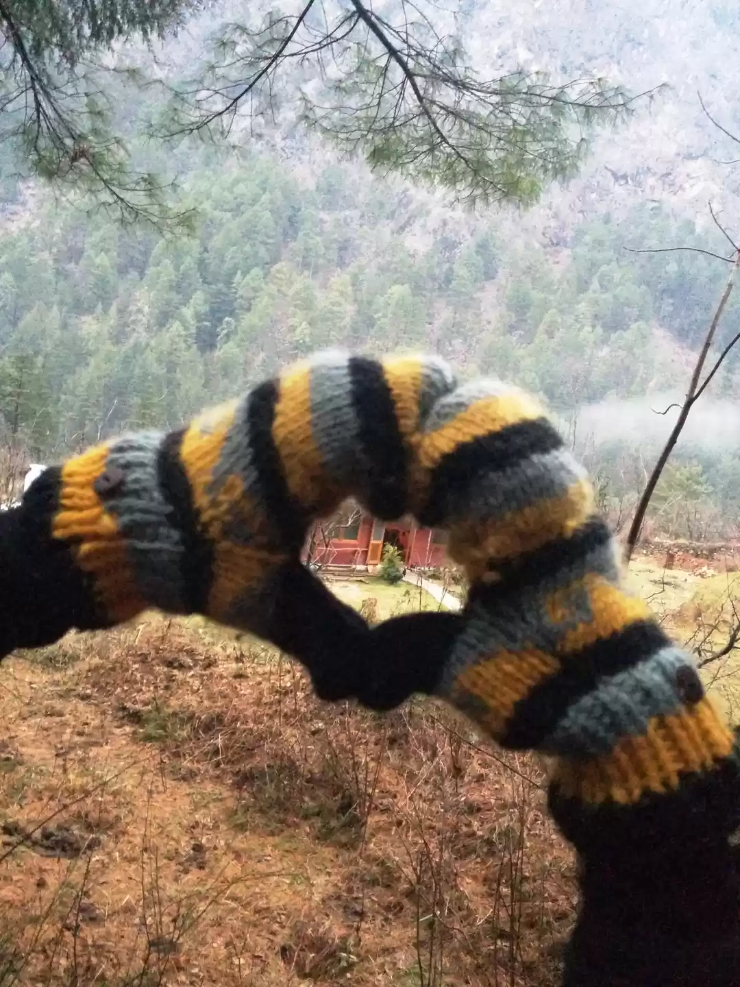 Photo of Debonair Travellers