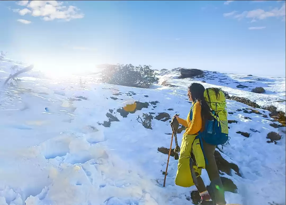 Photo of शंकर की ओर___A Young