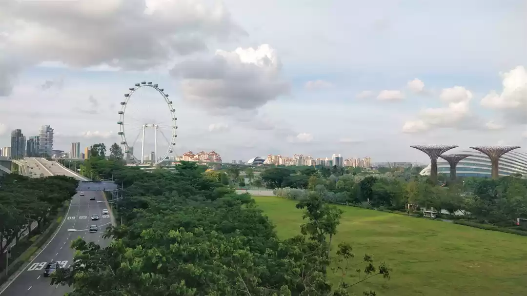 Photo of Fantastic Solo Merli