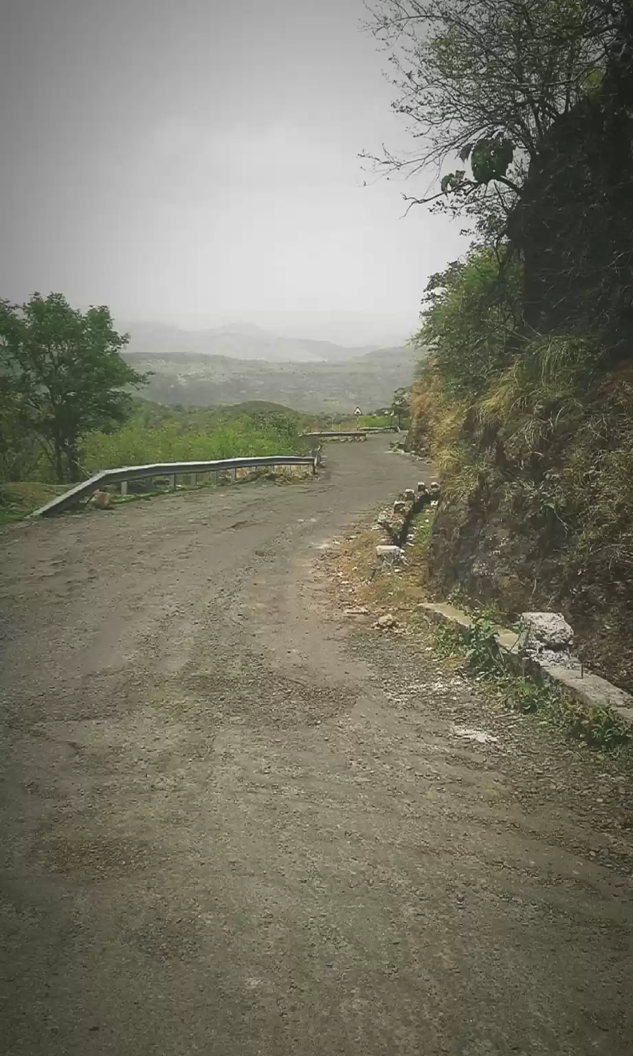 Photo of When you get a bike 