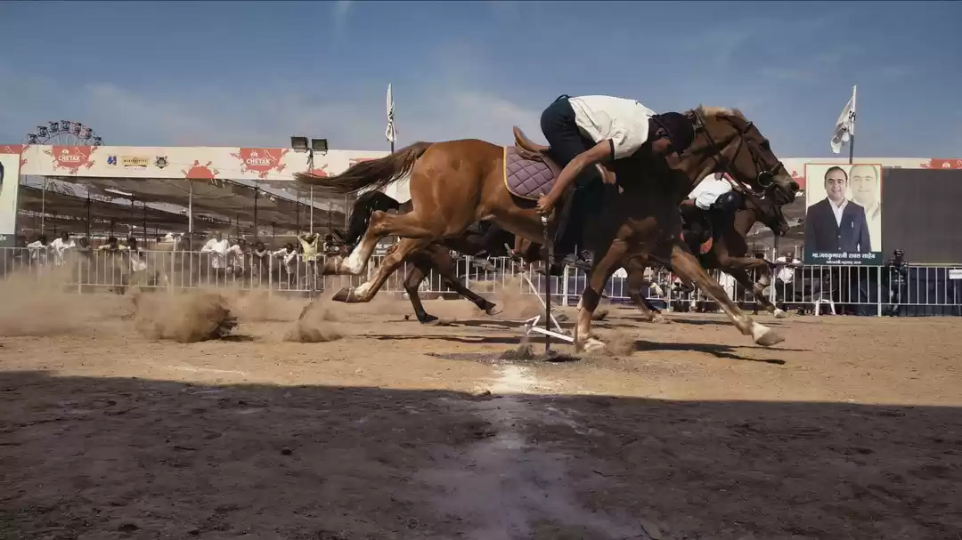 Photo of 300 YEARS OLD FESTIV