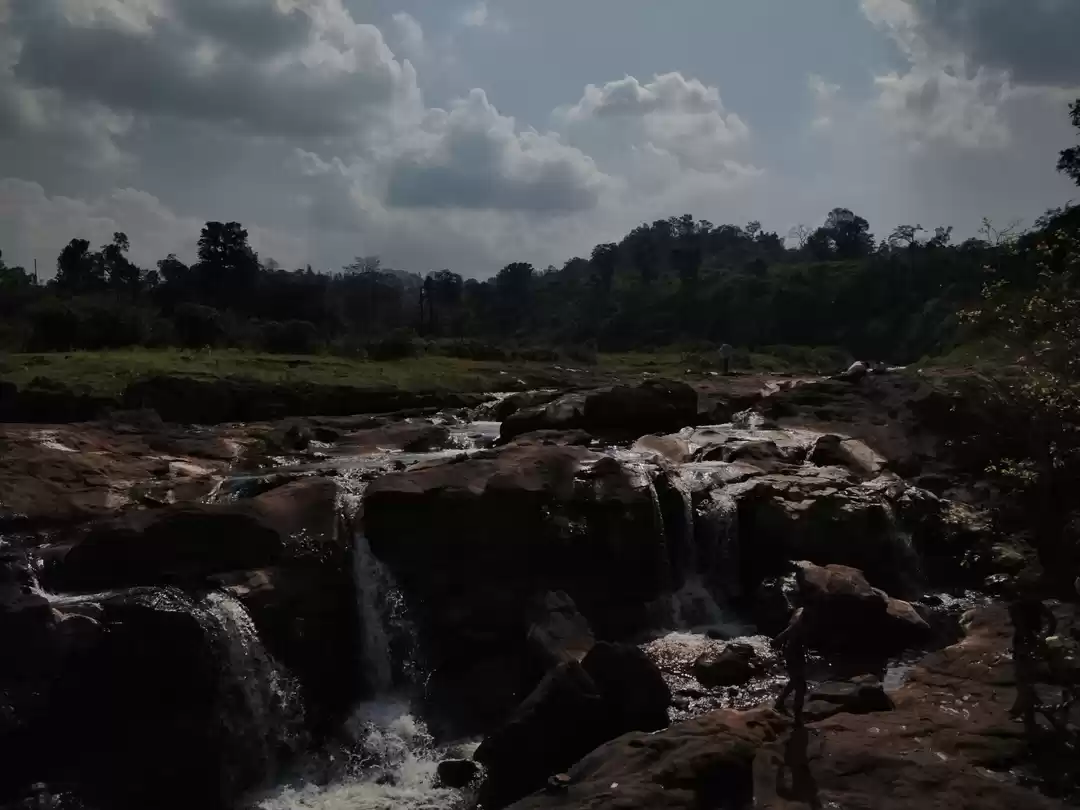 Photo of In the arms of natur