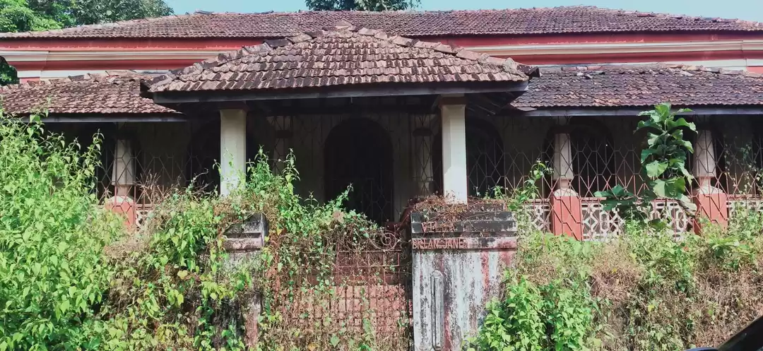 Photo of Amazing Trip