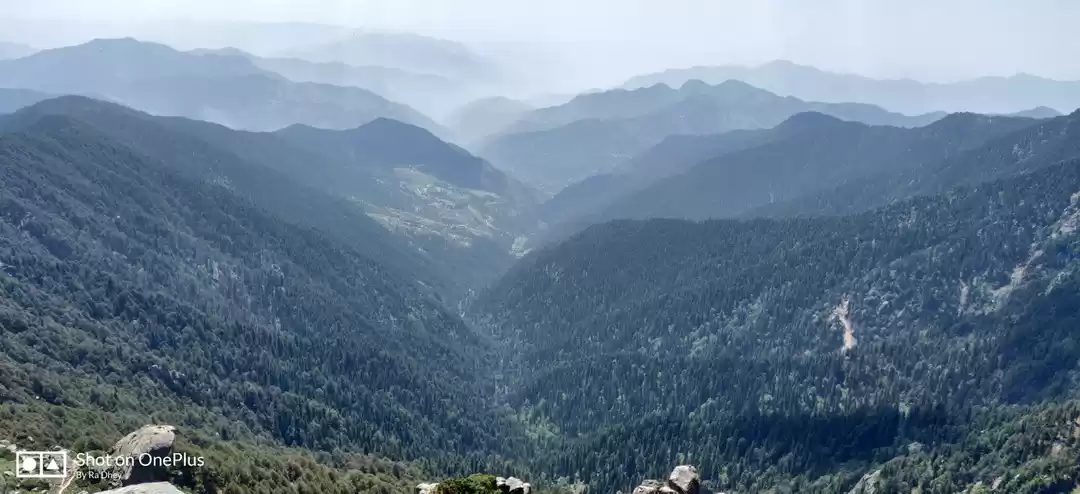 Photo of Disconnect From All 