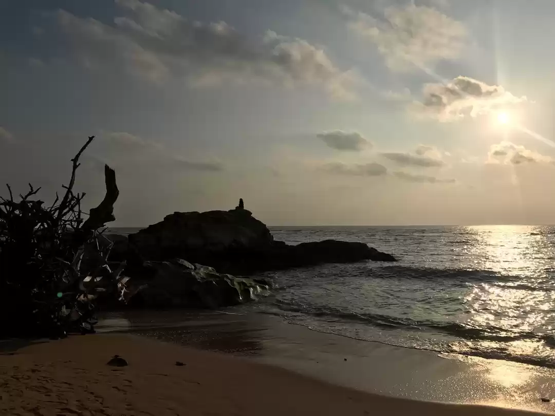 Photo of All about my Island 