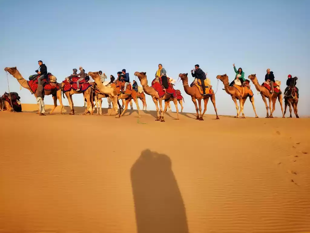 Photo of A blissful Journey t