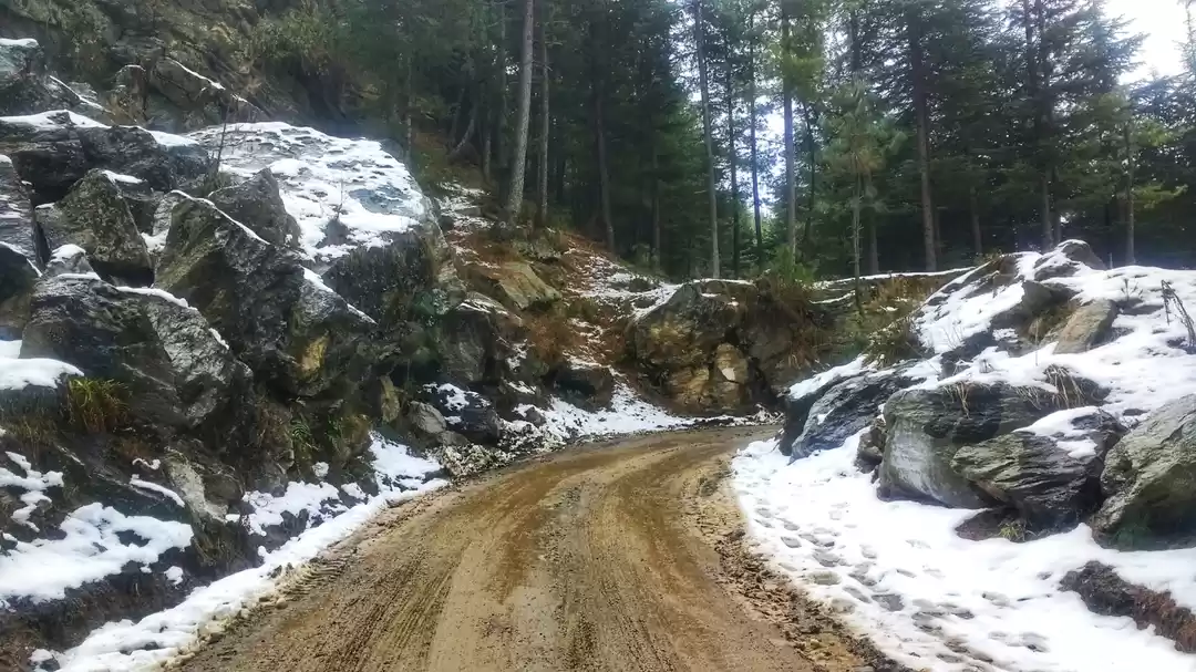 Photo of Thachi- where my lov