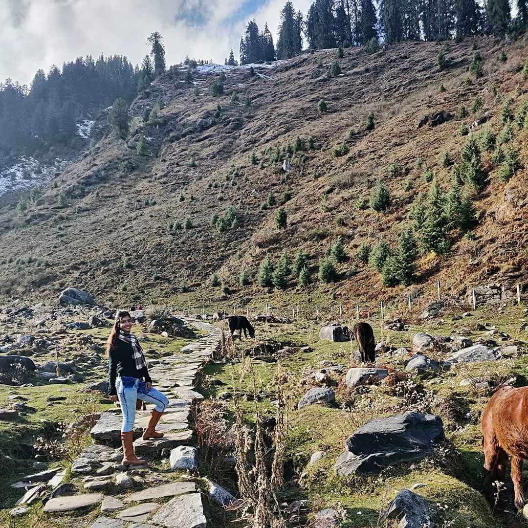 Photo of desi_traveller_