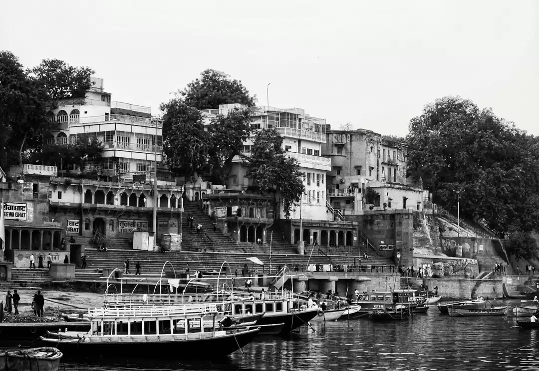 Photo of Nomad 