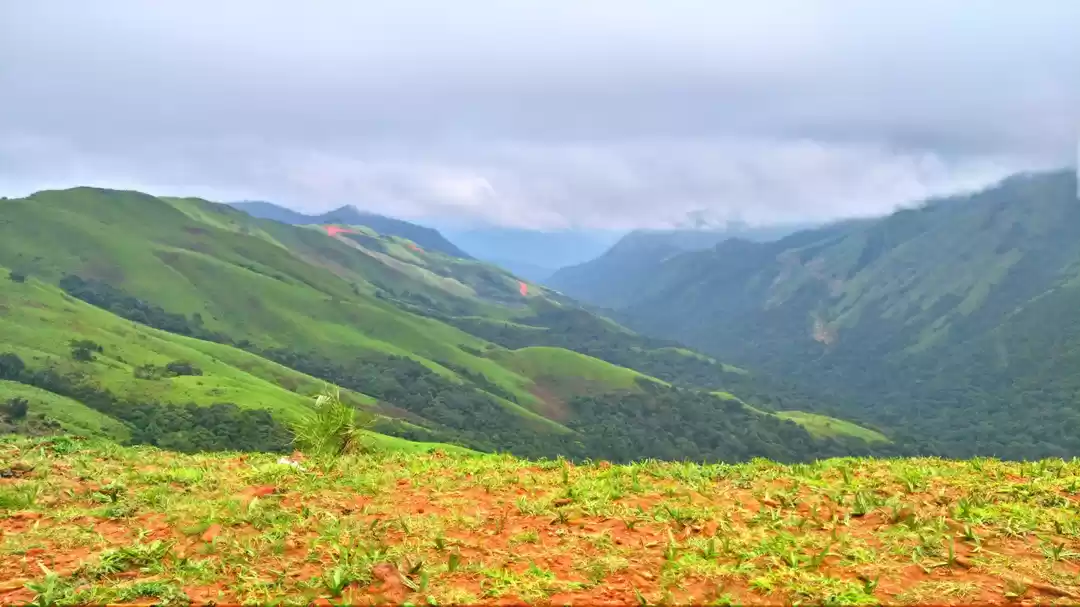 Photo of Bike ride to the nat