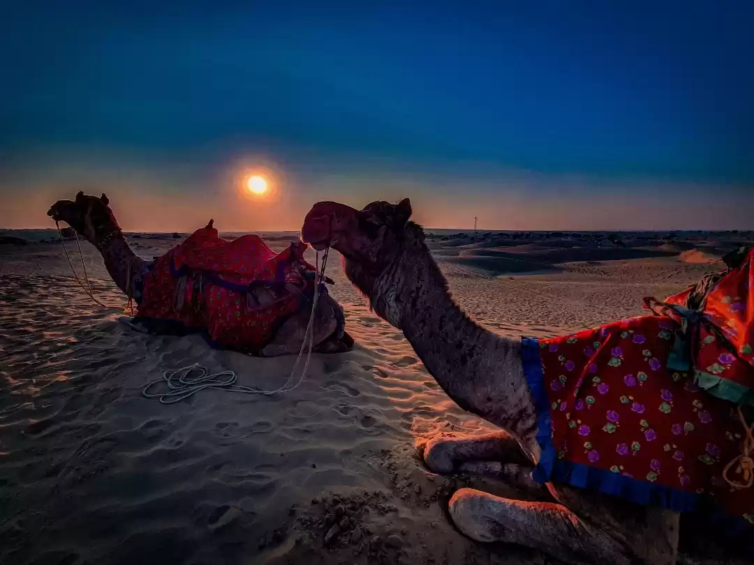 Photo of Glimpse of Jaisalmer