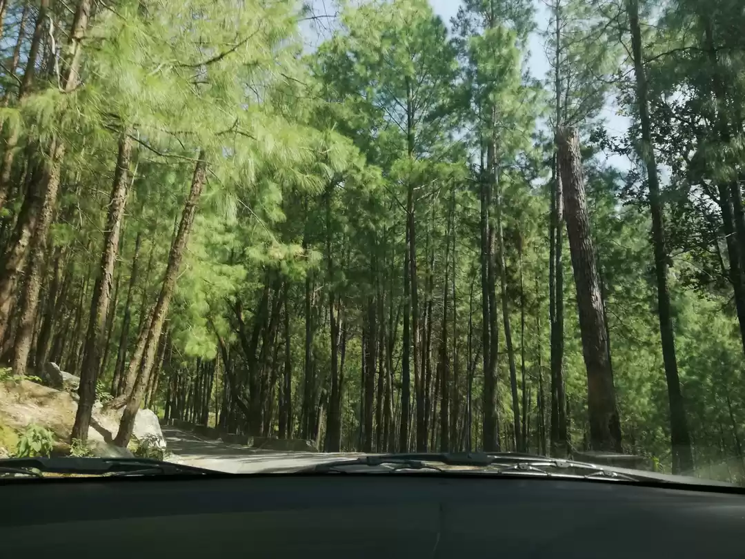 Photo of A straight road neve