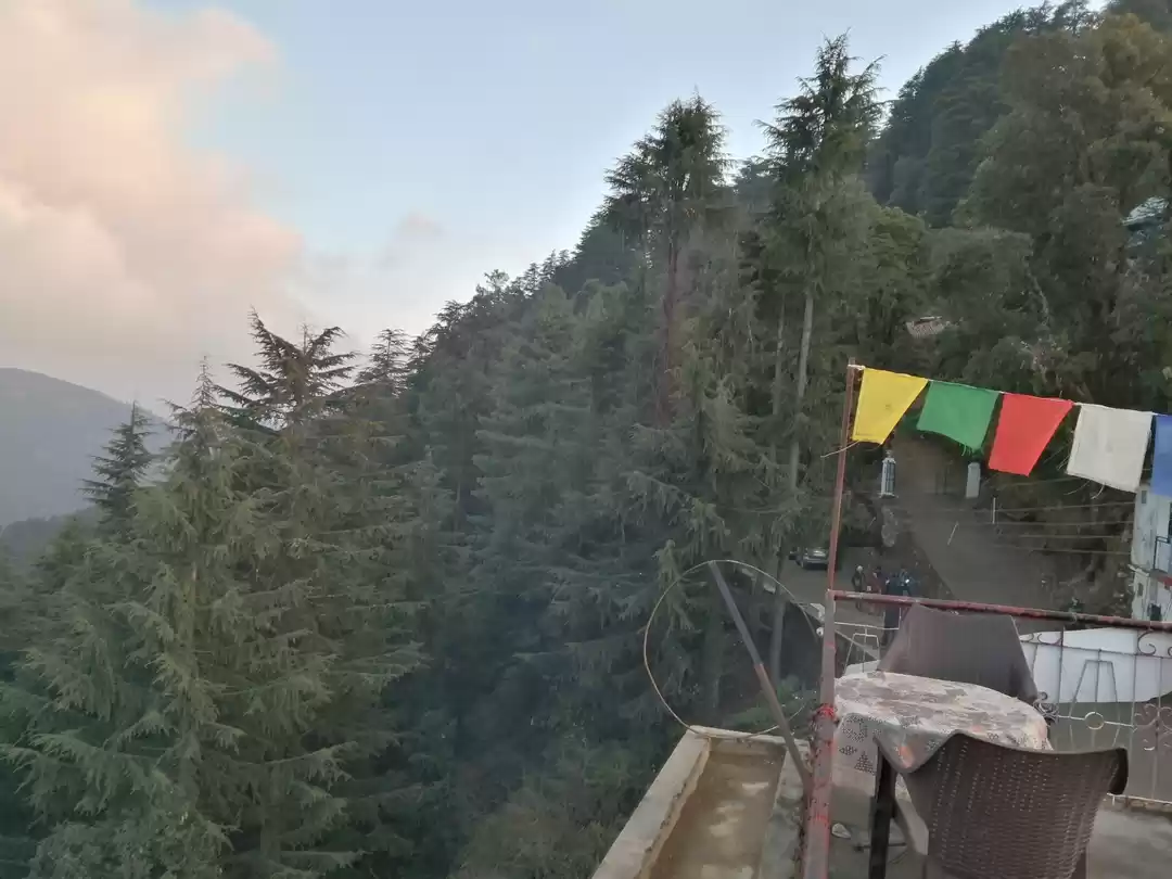 Photo of There's a reason why