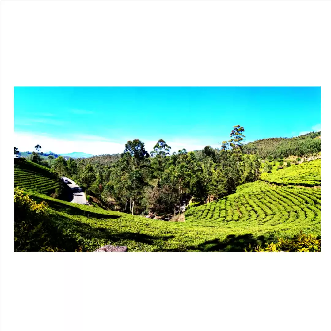 Photo of Munnar : An undenyab