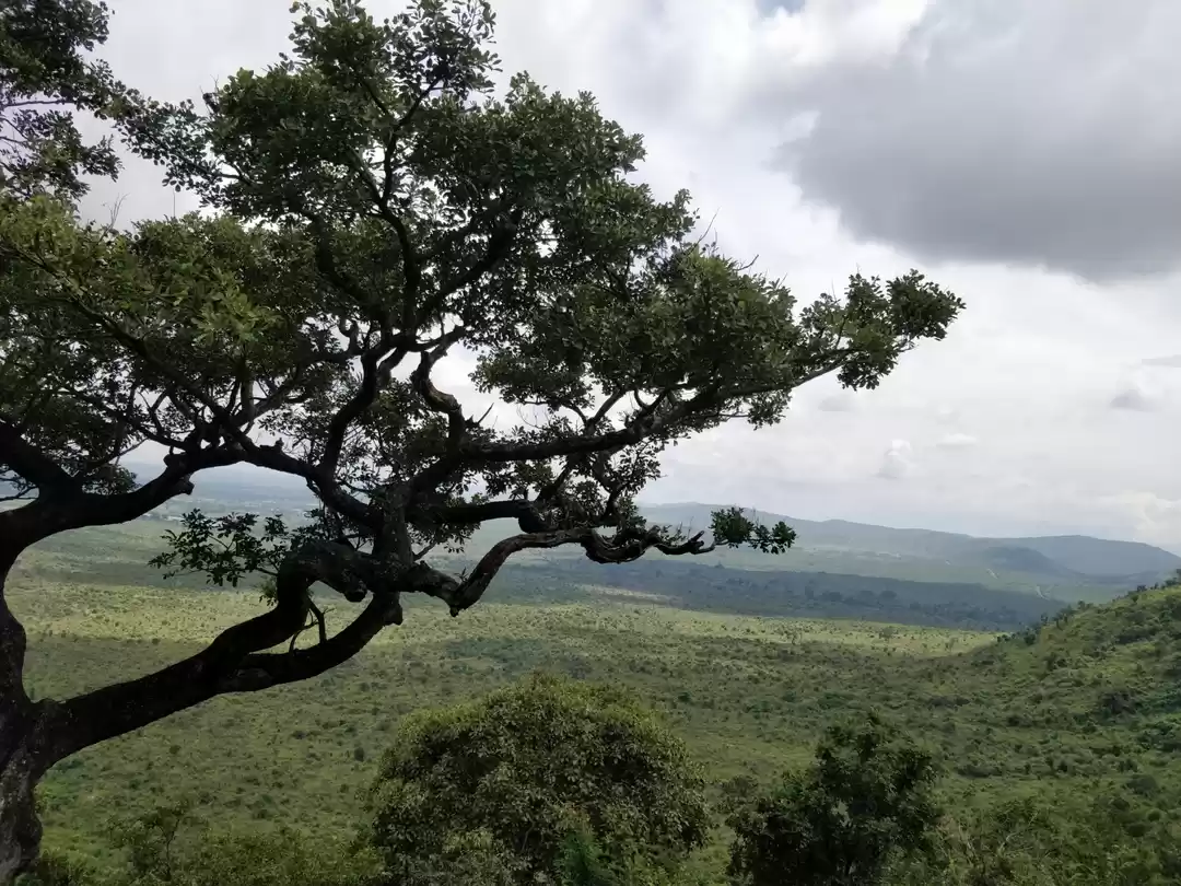 Photo of One day getaway in B