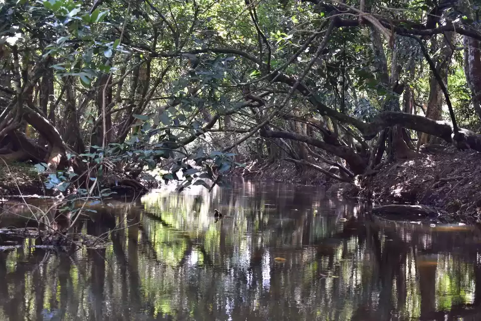 Photo of Last spring in Keral