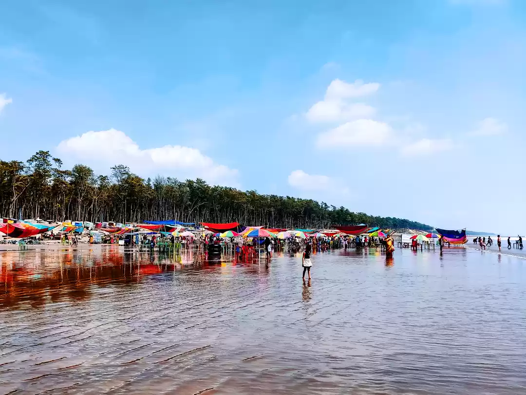 Photo of A beach party underw