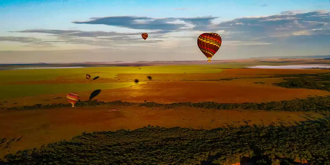 Photo of The Call Of The Wild