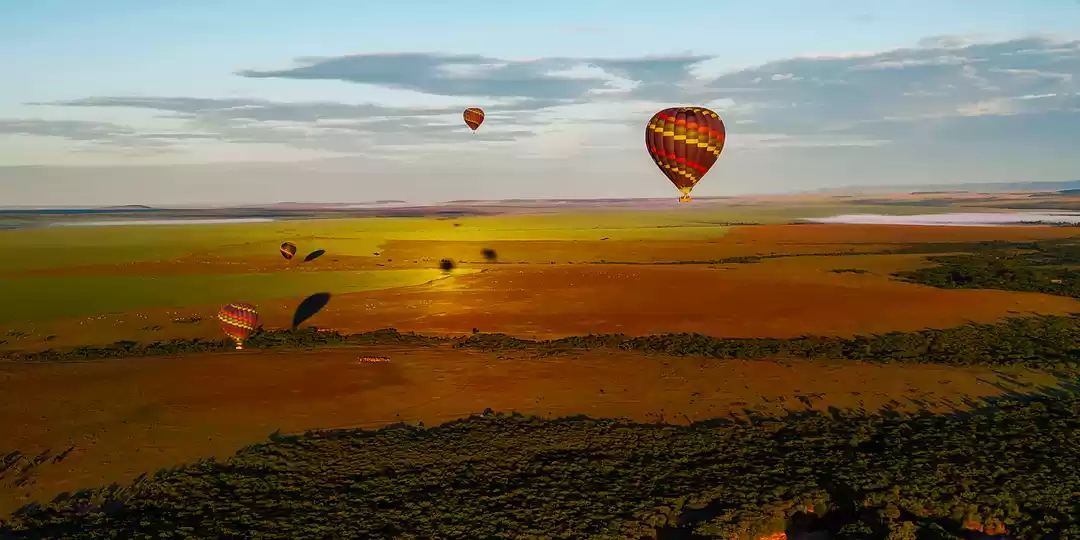 Photo of Want A Bird’s Eye Vi
