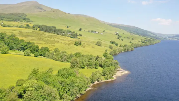 Photo of You Can Buy an Entir