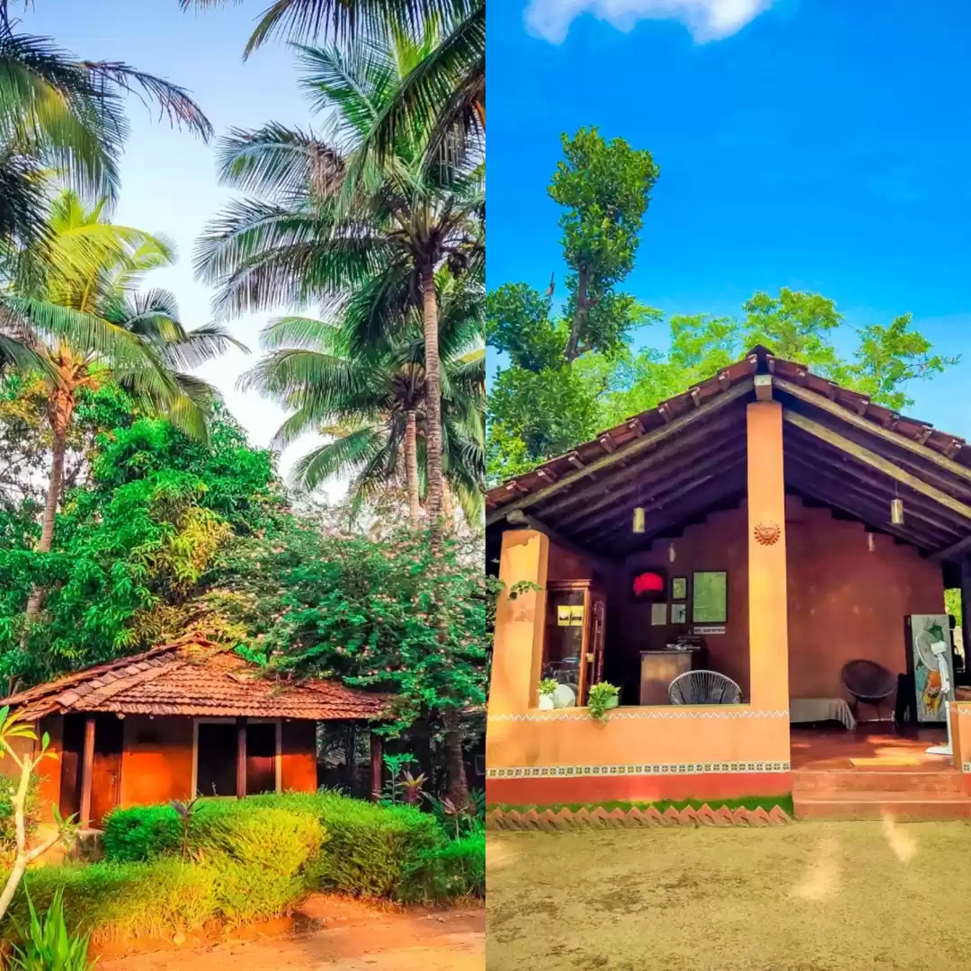 Photo of This Eco Resort Bord