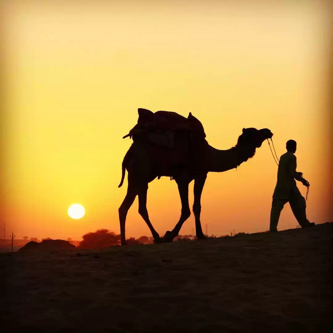 Photo of Jaane Kya Dikh Jaye!