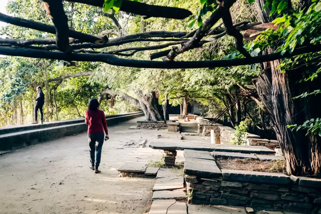 Photo of Chadva Rakhal - Kutc