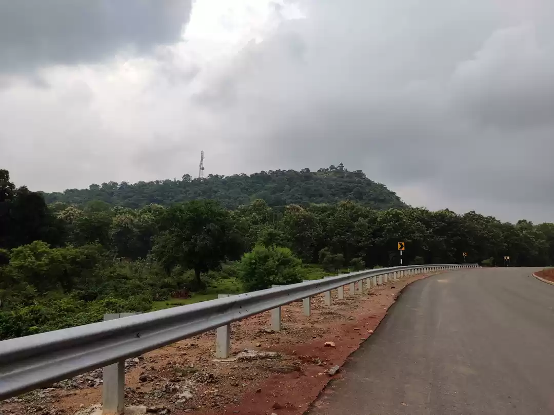 Photo of City Of Gardens #Haz