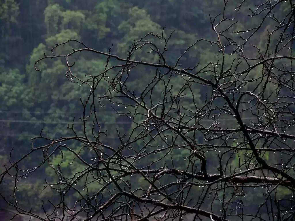 Photo of नैनीताल की एक अलसाई 