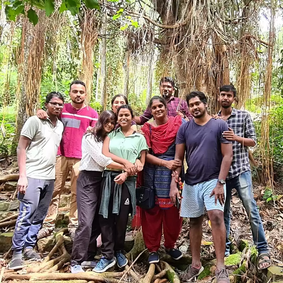 Photo of King of herbs again 