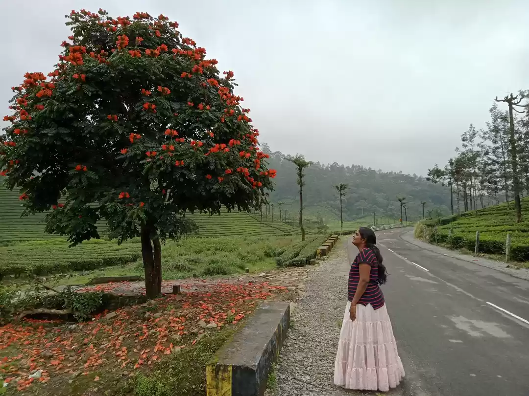 Photo of I visited this place