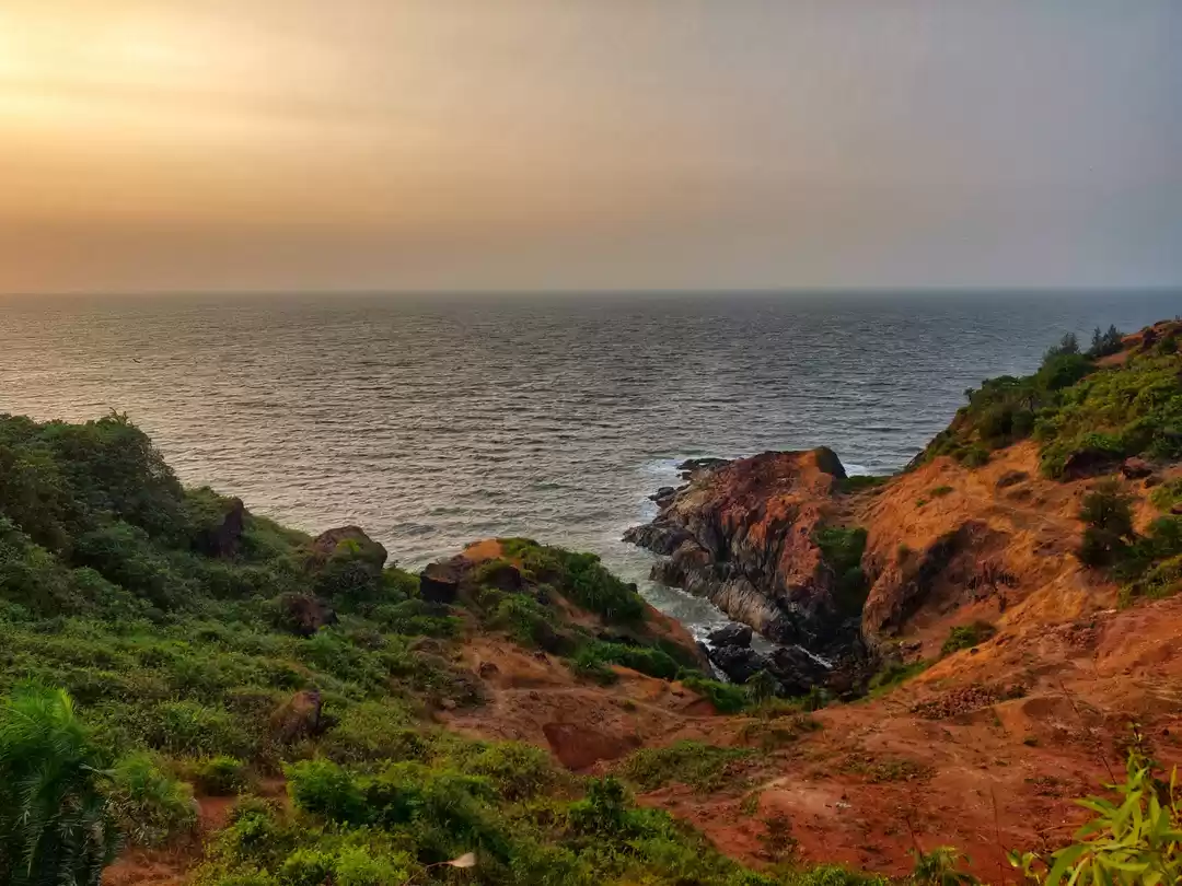 Photo of Fed up of city life?