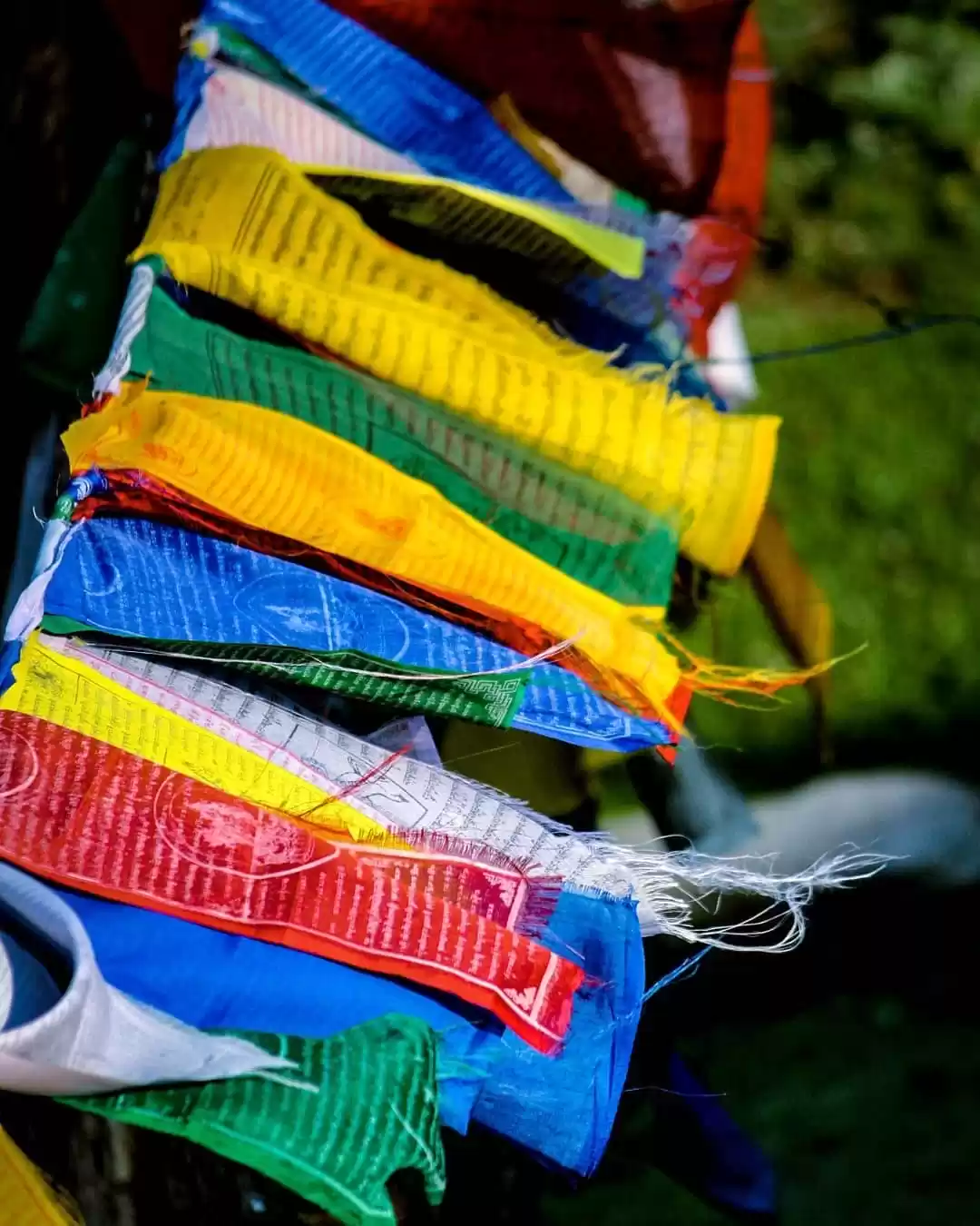 Photo of Dharamshala, home of