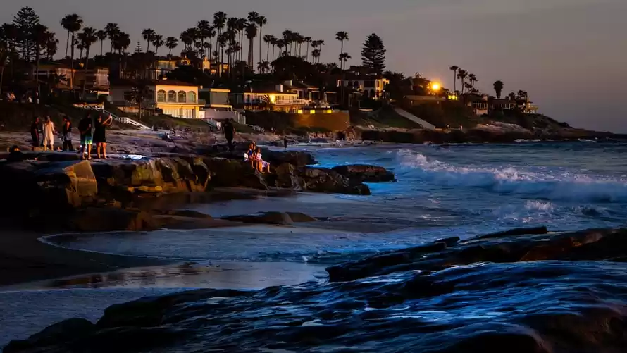 Photo of This Family Managed 