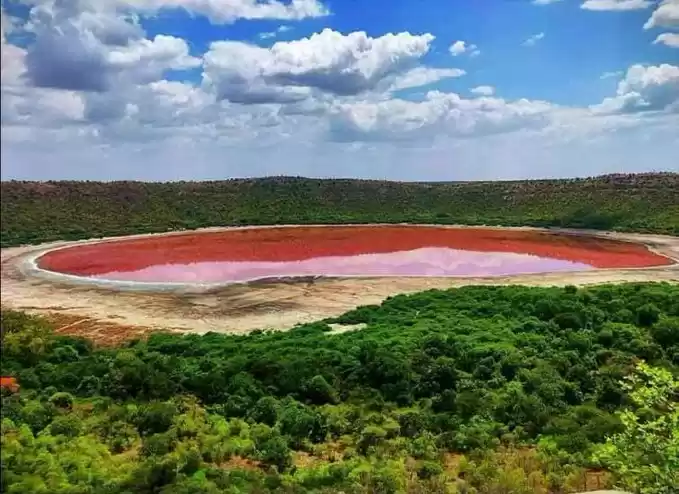 Photo of 50,000-Year-Old Lona